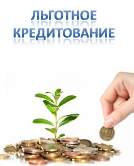 Правительство предоставит субсидии для льготного кредитования компаний, реализующих инвестиционные проекты в области обращения с отходами. Правительство предоставит субсидии для льготного кредитования компаний, реализующих инвестиционные проекты в области обращения с отходами.
